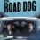 دانلود فیلم سگ جاده The Road Dog 2023